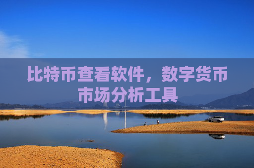 比特币查看软件，数字货币市场分析工具
