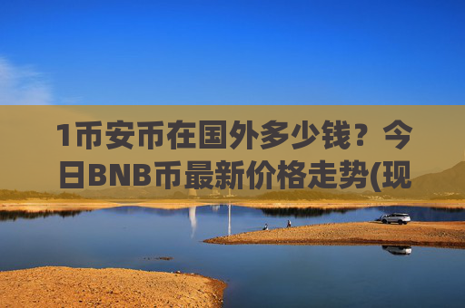 1币安币在国外多少钱？今日BNB币最新价格走势(现价5343.07元)