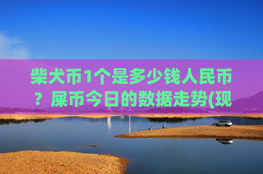 柴犬币1个是多少钱人民币？屎币今日的数据走势(现价0.00022189元)