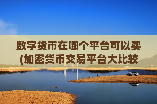 数字货币在哪个平台可以买(加密货币交易平台大比较)