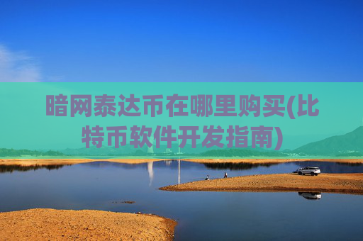 暗网泰达币在哪里购买(比特币软件开发指南)