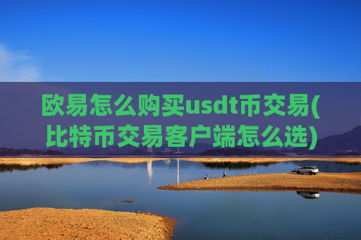 欧易怎么购买usdt币交易(比特币交易客户端怎么选)
