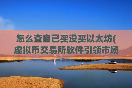 怎么查自己买没买以太坊(虚拟币交易所软件引领市场)