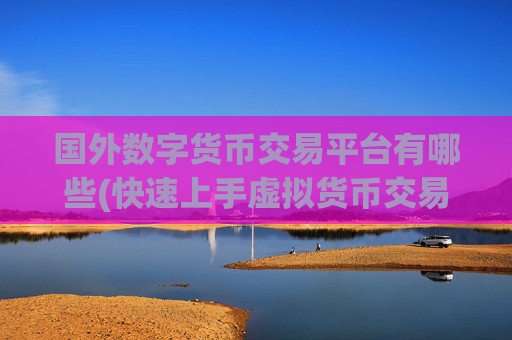 国外数字货币交易平台有哪些(快速上手虚拟货币交易)