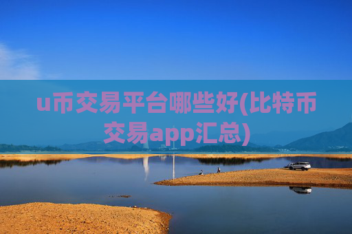 u币交易平台哪些好(比特币交易app汇总)