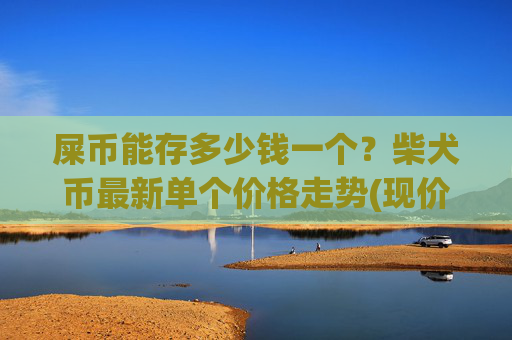 屎币能存多少钱一个？柴犬币最新单个价格走势(现价0.0002232元)