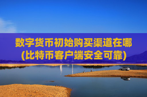 数字货币初始购买渠道在哪(比特币客户端安全可靠)
