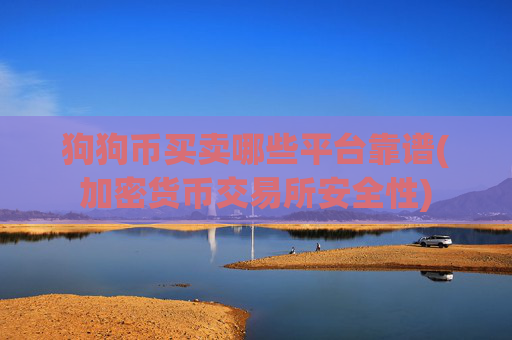 狗狗币买卖哪些平台靠谱(加密货币交易所安全性)