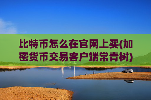 比特币怎么在官网上买(加密货币交易客户端常青树)