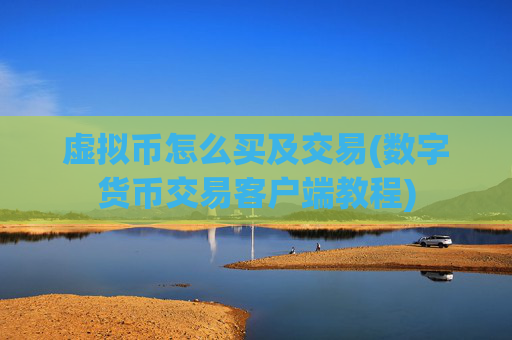 虚拟币怎么买及交易(数字货币交易客户端教程)