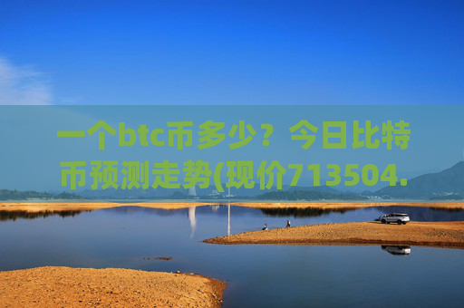 一个btc币多少？今日比特币预测走势(现价713504.21元)