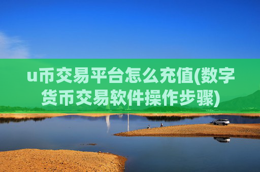 u币交易平台怎么充值(数字货币交易软件操作步骤)