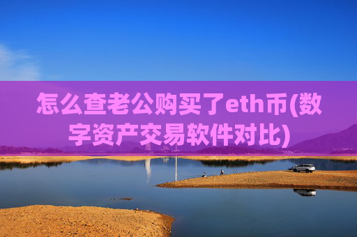 怎么查老公购买了eth币(数字资产交易软件对比)