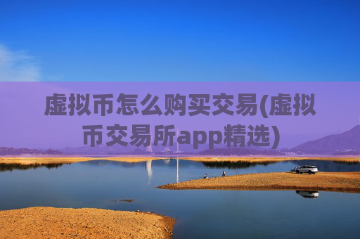 虚拟币怎么购买交易(虚拟币交易所app精选)