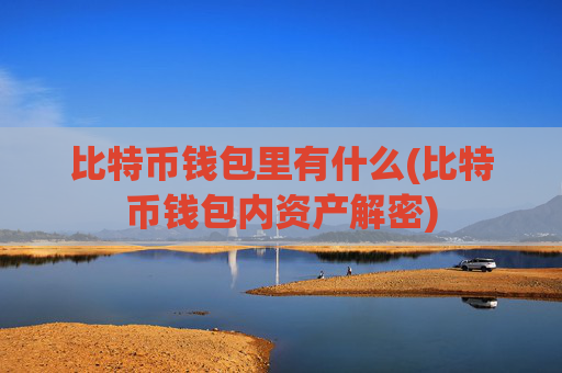 比特币钱包里有什么(比特币钱包内资产解密)