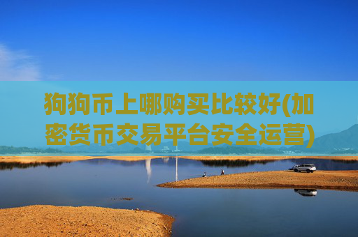 狗狗币上哪购买比较好(加密货币交易平台安全运营)