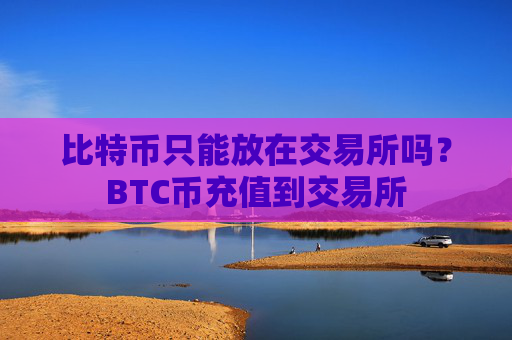 比特币只能放在交易所吗?BTC币充值到交易所