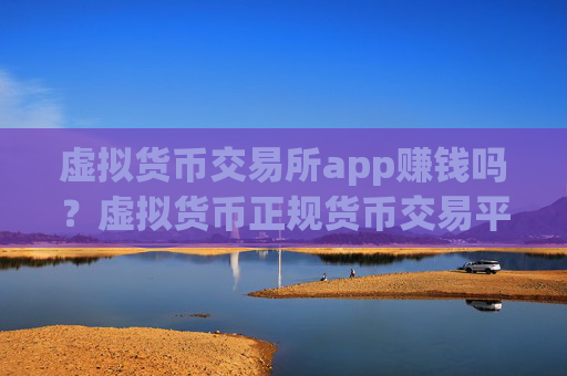 虚拟货币交易所app赚钱吗？虚拟货币正规货币交易平台app