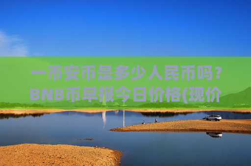 一币安币是多少人民币吗？BNB币早报今日价格(现价4821.01元)