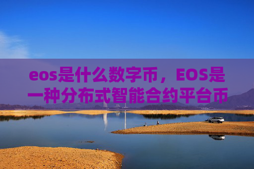 eos是什么数字币，EOS是一种分布式智能合约平台币