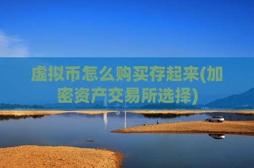 虚拟币怎么购买存起来(加密资产交易所选择)