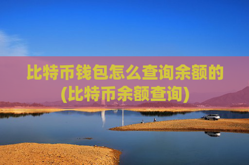 比特币钱包怎么查询余额的(比特币余额查询)