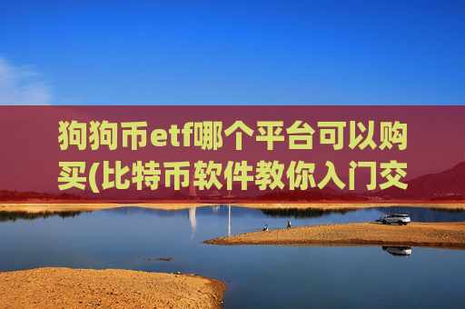 狗狗币etf哪个平台可以购买(比特币软件教你入门交易)