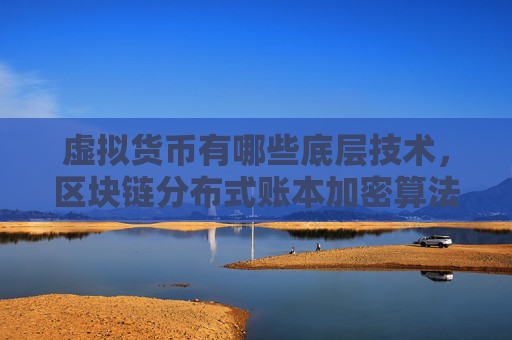 虚拟货币有哪些底层技术，区块链分布式账本加密算法共识机制
