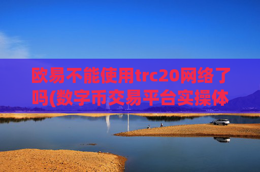 欧易不能使用trc20网络了吗(数字币交易平台实操体验)