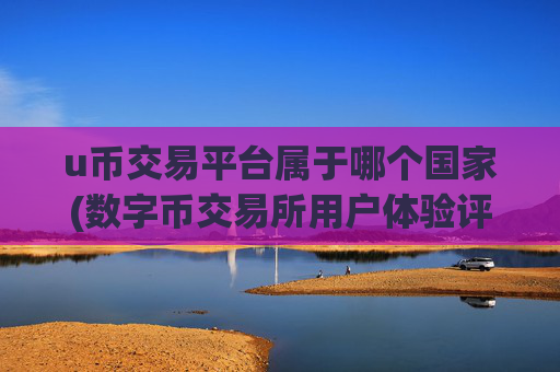 u币交易平台属于哪个国家(数字币交易所用户体验评测)