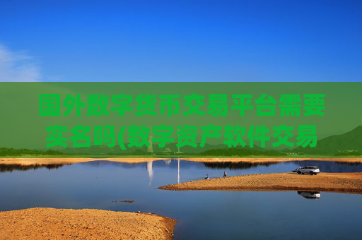 国外数字货币交易平台需要实名吗(数字资产软件交易优势对比)