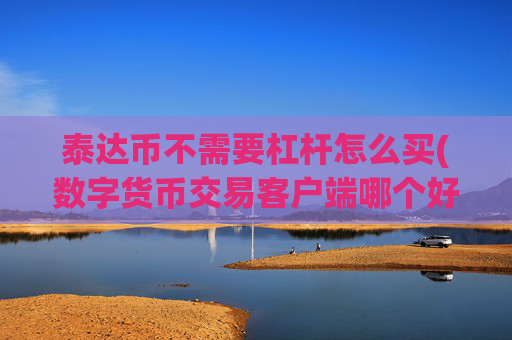 泰达币不需要杠杆怎么买(数字货币交易客户端哪个好)