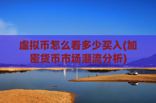虚拟币怎么看多少买入(加密货币市场潮流分析)
