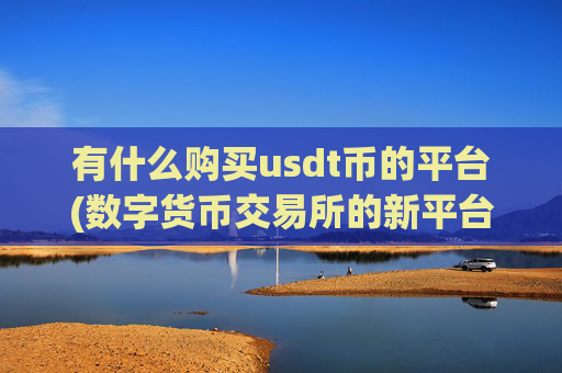 有什么购买usdt币的平台(数字货币交易所的新平台)