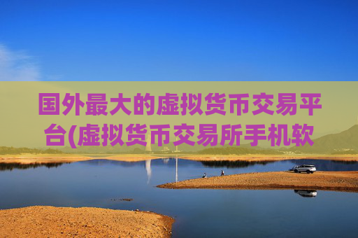 国外最大的虚拟货币交易平台(虚拟货币交易所手机软件推荐)