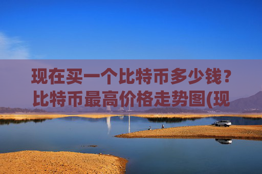 现在买一个比特币多少钱？比特币最高价格走势图(现价712318.23元)