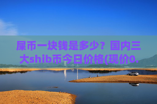 屎币一块钱是多少？国内三大shib币今日价格(现价0.00022161元)