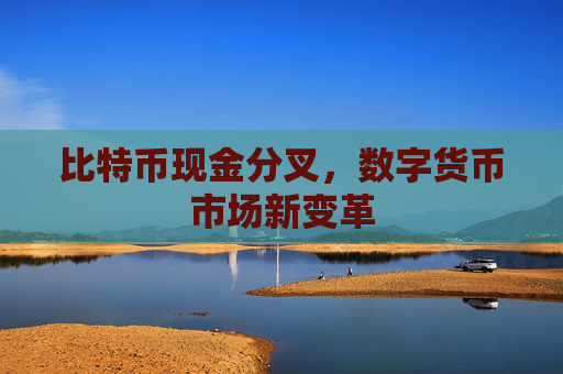 比特币现金分叉，数字货币市场新变革