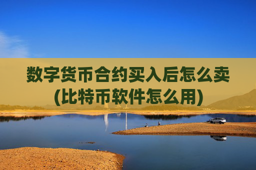 数字货币合约买入后怎么卖(比特币软件怎么用)
