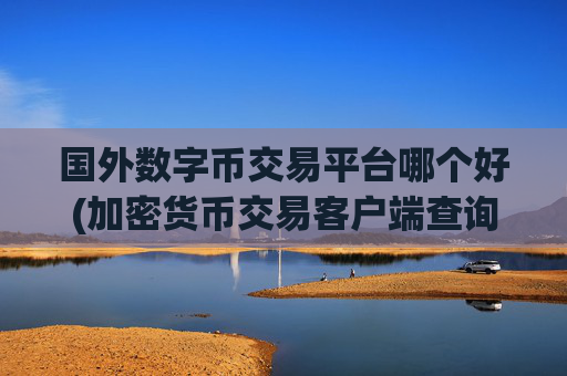 国外数字币交易平台哪个好(加密货币交易客户端查询)