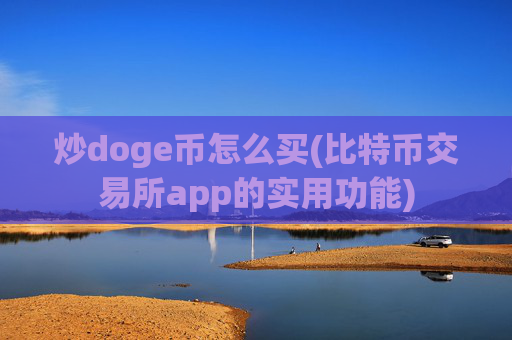 炒doge币怎么买(比特币交易所app的实用功能)
