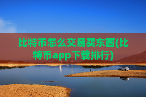 比特币怎么交易买东西(比特币app下载排行)