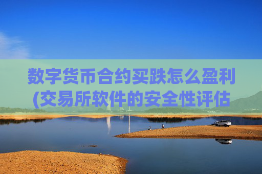 数字货币合约买跌怎么盈利(交易所软件的安全性评估)