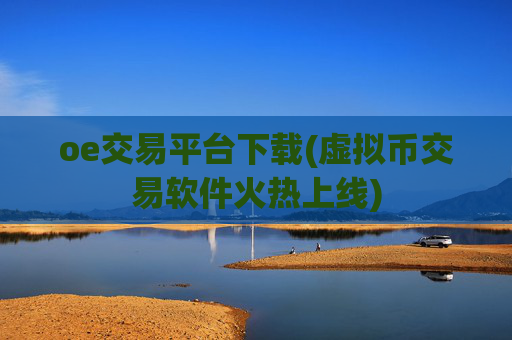 oe交易平台下载(虚拟币交易软件火热上线)