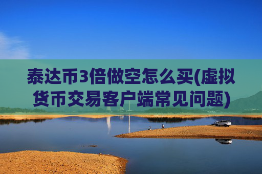 泰达币3倍做空怎么买(虚拟货币交易客户端常见问题)