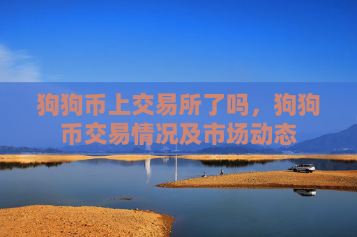 狗狗币上交易所了吗，狗狗币交易情况及市场动态