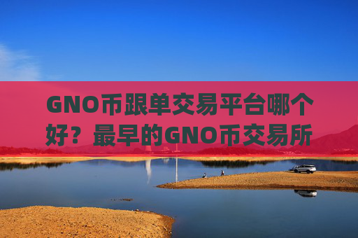 GNO币跟单交易平台哪个好？最早的GNO币交易所app下载