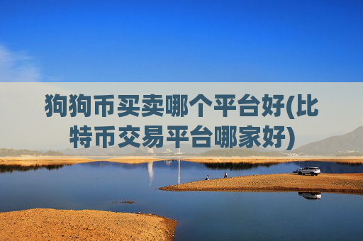 狗狗币买卖哪个平台好(比特币交易平台哪家好)