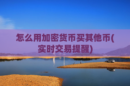 怎么用加密货币买其他币(实时交易提醒)