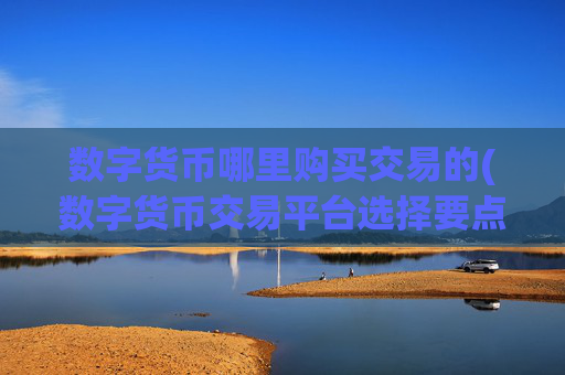 数字货币哪里购买交易的(数字货币交易平台选择要点)